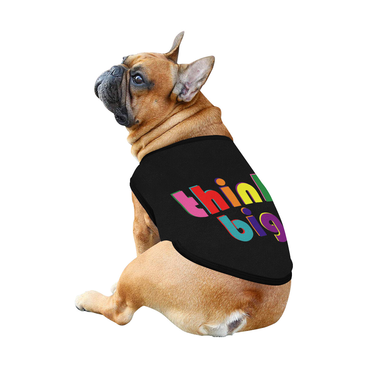 🐕 Think Big Dog shirt Dog Tank Top, Dog t-shirt, Dog clothes, Gifts, front back print, 7 sizes XS to 3XL, dog gifts, black