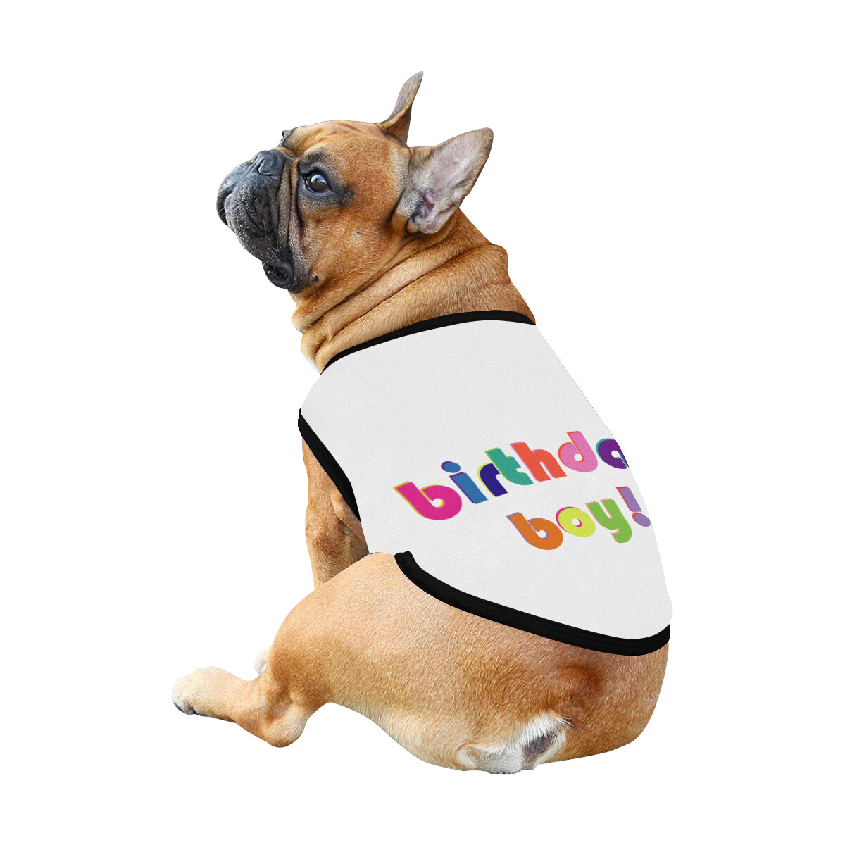 🐕 Birthday Boy Dog shirt, Dog Tank Top, Dog t-shirt, Dog clothes, Gifts, front back print, 7 sizes XS to 3XL, dog gifts, white