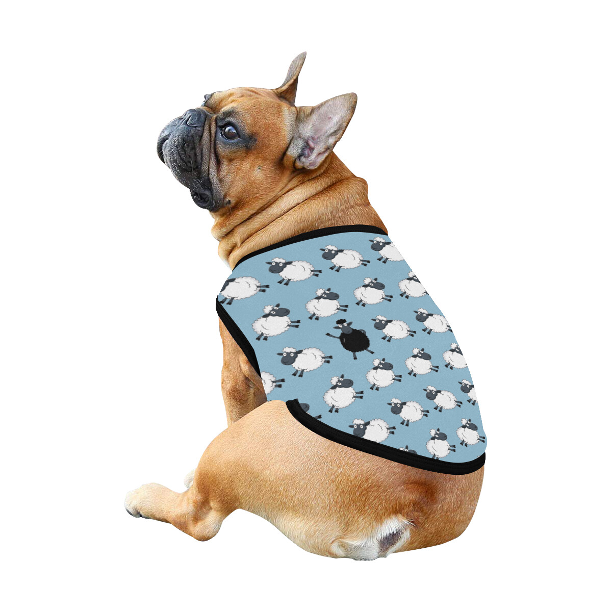 🐕 Lady Di Black sheep Dog shirt, Dog Tank Top, Dog t-shirt, Dog clothes, Gifts, front back print, 7 sizes XS to 3XL, dog gifts, regent st blue