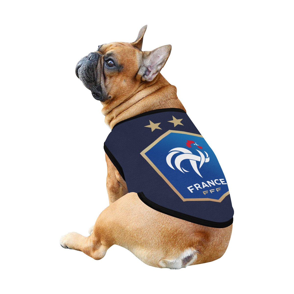 🐕🇫🇷⚽️ Allez les Bleus, France Soccer Team, Dog t-shirt, Dog Tank Top, Dog shirt, Dog clothes, Dog jersey, Gift, 7 sizes XS to 3XL, French, I love sports, blue