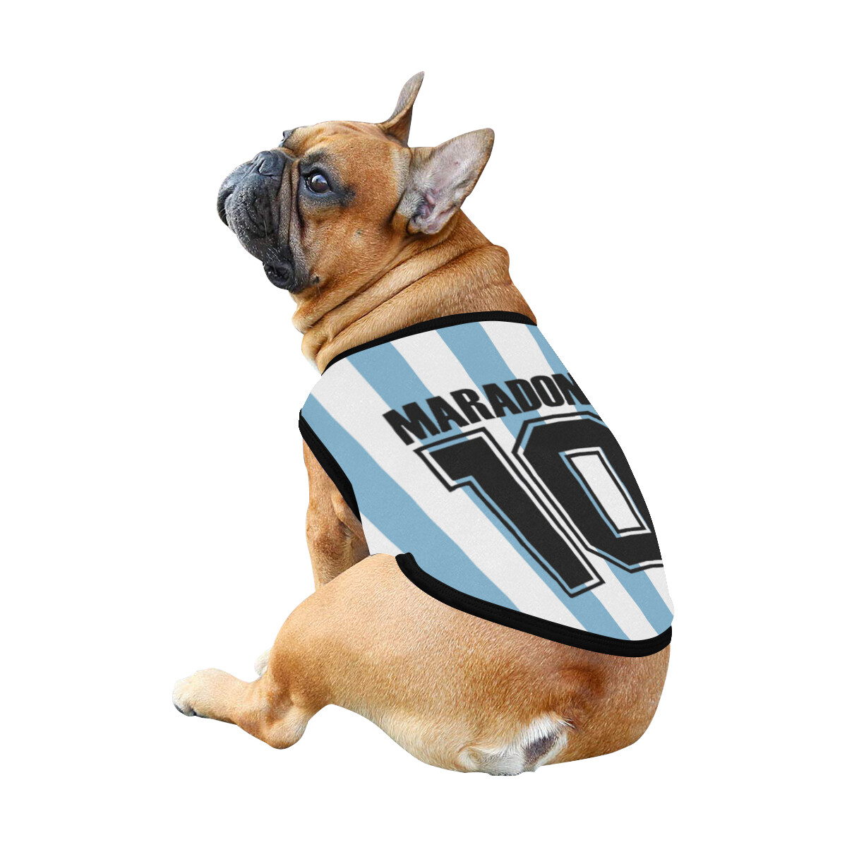 🐕 ⚽️ Argentina, Soccer Team, Diego Maradona, 10, Dog t-shirt, Dog Tank Top, Dog shirt, Dog clothes, Dog jersey, Gift, 7 sizes XS to 3XL, Argentinean, I love sports