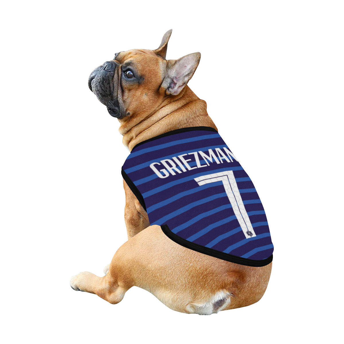 🐕🇫🇷⚽️ Allez les Bleus, France Soccer Team, Antoine Griezmann, 7, Dog t-shirt, Dog Tank Top, Dog shirt, Dog clothes, Dog jersey, Gift, 7 sizes XS to 3XL, French, I love sports