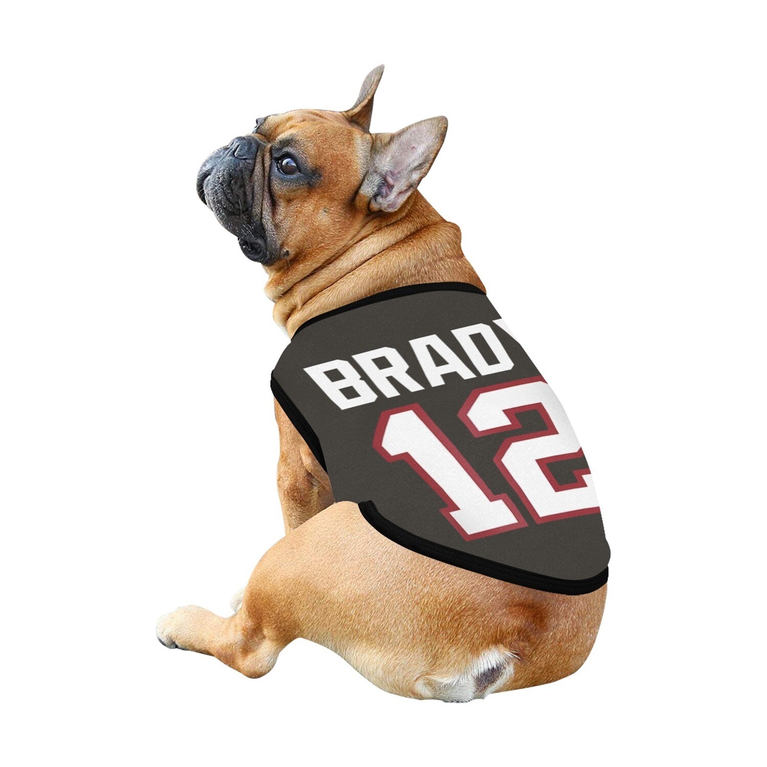 🐕 USA NFL Tampa Bay Buccaneers Tom Brady Dog t-shirt, Dog Tank Top, Dog shirt, Dog clothes, Gifts, front back print, 7 sizes XS to 3XL, gray pewter
