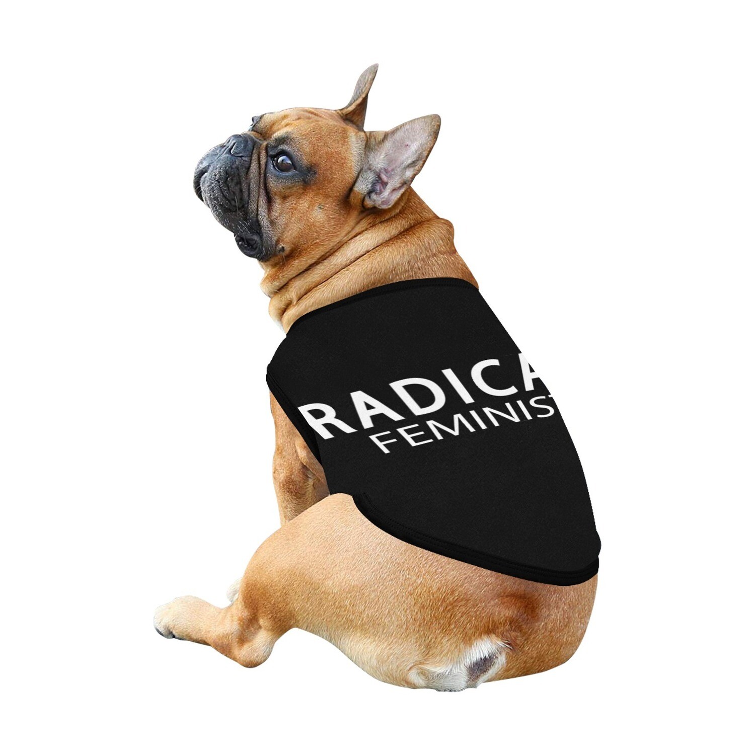🐕 David Rose Radical Feminist Dog t-shirt, Dog Tank Top, Dog shirt, Dog clothes, Gifts, front back print, 7 sizes XS to 3XL, Schitt's Creek, TV series