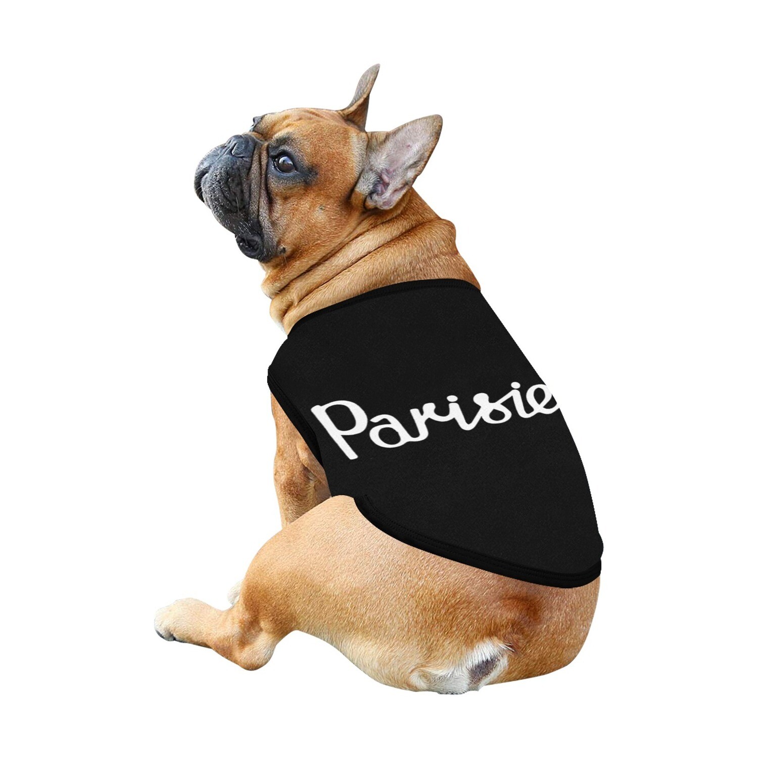 🐕 David Rose Parisien Dog t-shirt, Dog Tank Top, Dog shirt, Dog clothes, Gifts, front back print, 7 sizes XS to 3XL, Schitt's Creek, TV series