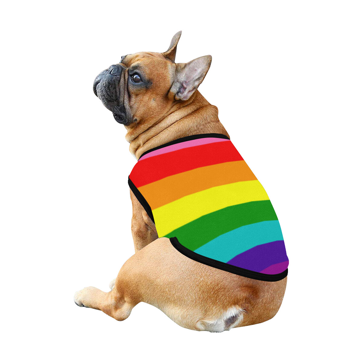 🐕🏳️‍🌈 Love is love Dog Tank Top, Dog shirt, Dog t-shirt, Dog clothes, Dog clothing, 7 sizes XS to 3XL, LGBTQ, pride flag, rainbow flag, LGBT, Dog gift, Gift for dogs, horizontal stripes