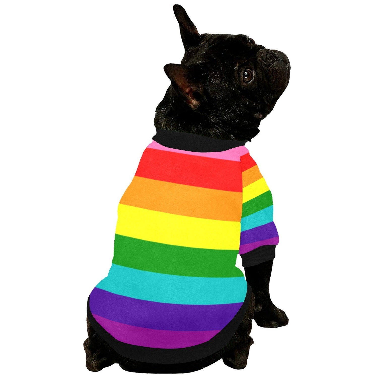 🐕🏳️‍🌈 Love is Love Buttoned Sweatshirt, dog sweater, dog clothes, Gift, 6 sizes XS to 2XL, LGBTQ, pride flag, rainbow flag, LGBT, Dog gift, Gift for dogs