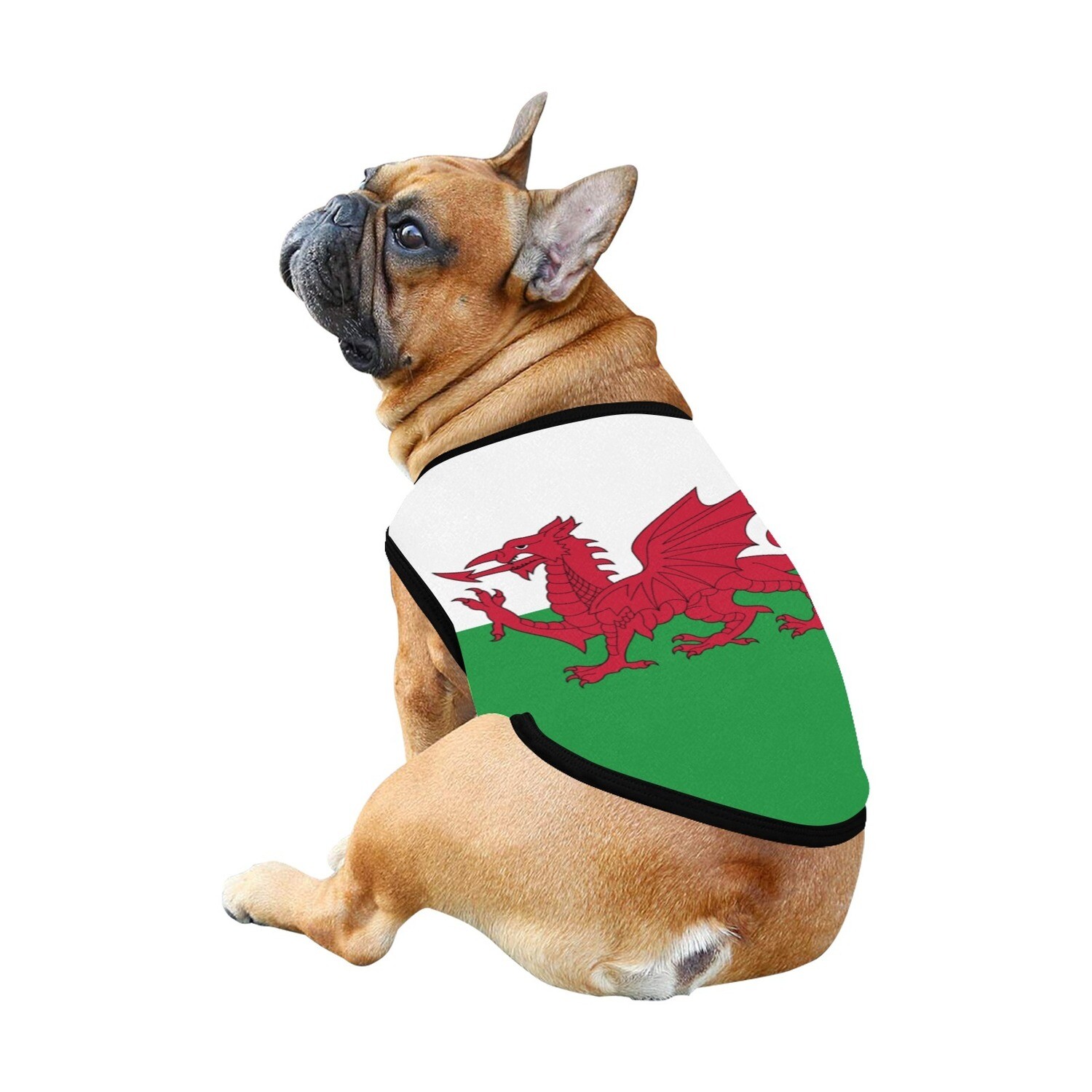 🐕🏴󠁧󠁢󠁷󠁬󠁳󠁿 I love Wales dog t-shirt, dog gift, dog tank top, dog shirt, dog clothes, gift, 7 sizes XS to 3XL, Welsh dragon flag