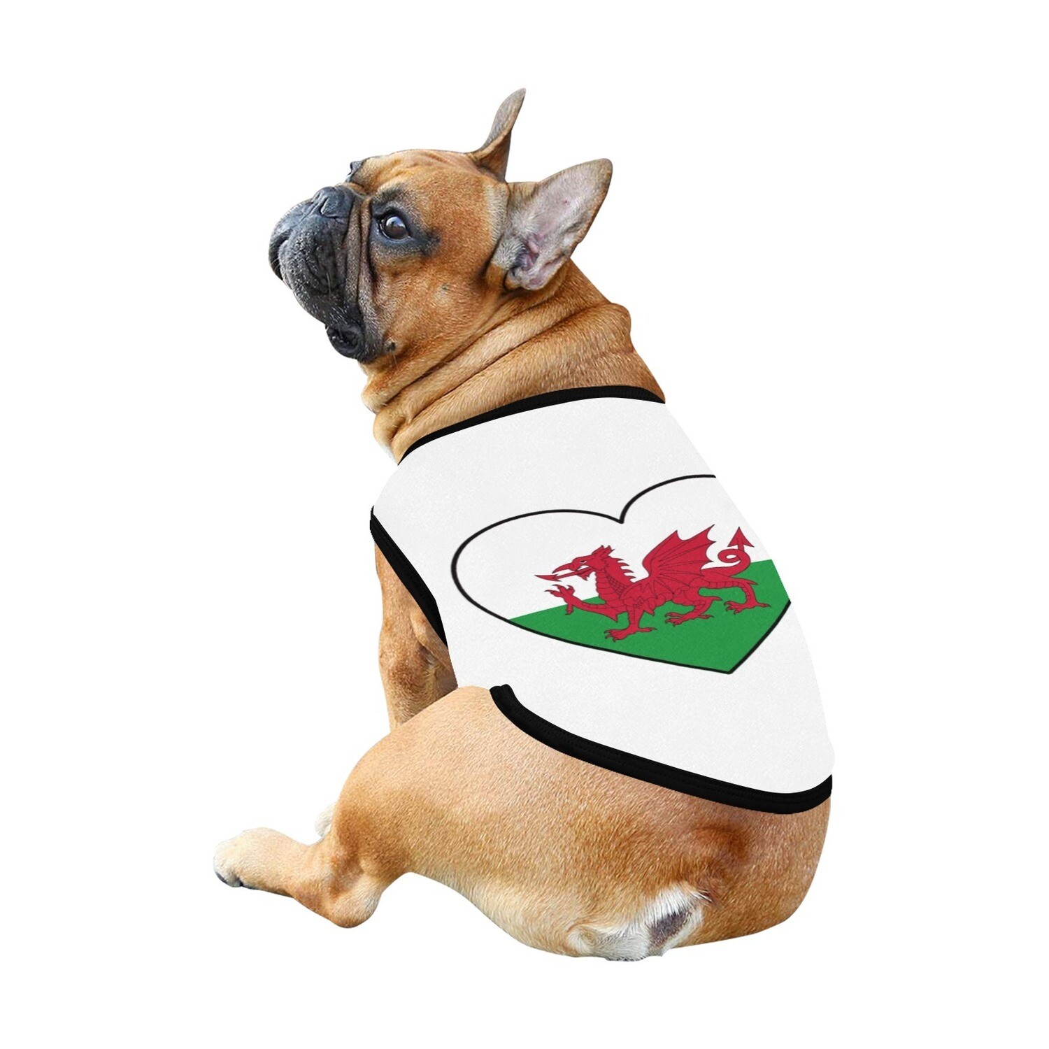 🐕🏴󠁧󠁢󠁷󠁬󠁳󠁿 I love Wales dog t-shirt, dog gift, dog tank top, dog shirt, dog clothes, gift, 7 sizes XS to 3XL, Welsh dragon flag, heart shape