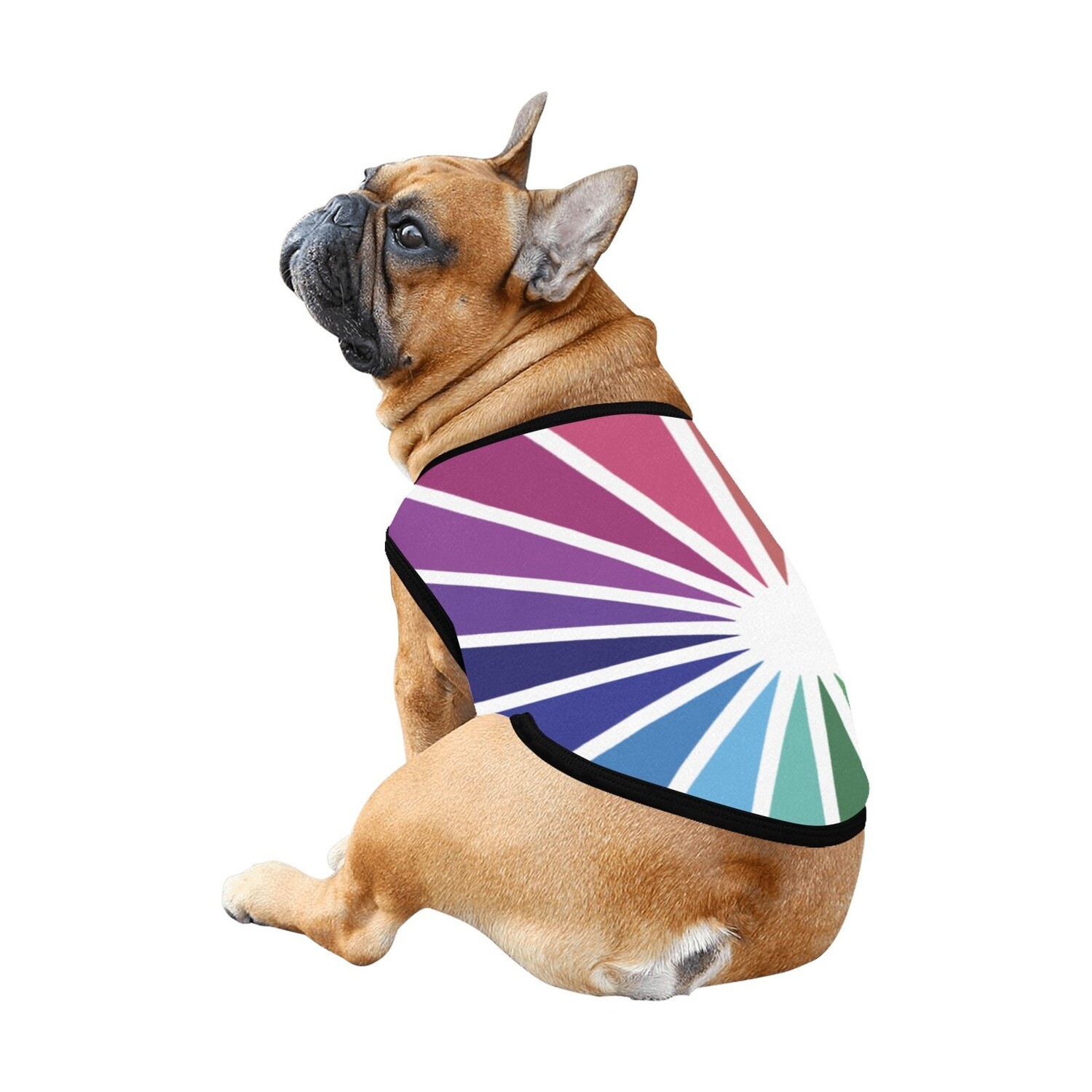 🐕🏳️‍🌈 Love is Love Spectrum, Dog Tank Top, Dog shirt, Dog t-shirt, Dog clothes, Dog clothing, 7 sizes XS to 3XL, Dog gift, Gift for dogs