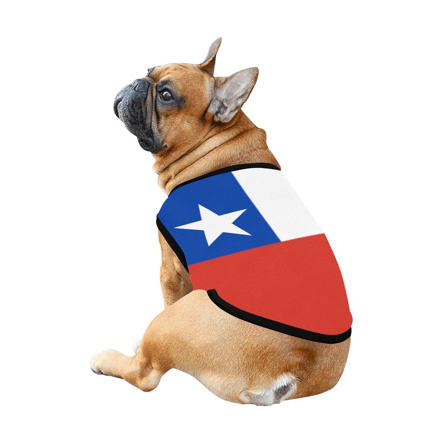 🐕🇨🇱 I love Chile dog t-shirt, dog gift, dog tank top, dog shirt, dog clothes, gift, 7 sizes XS to 3XL, Big Chilean flag