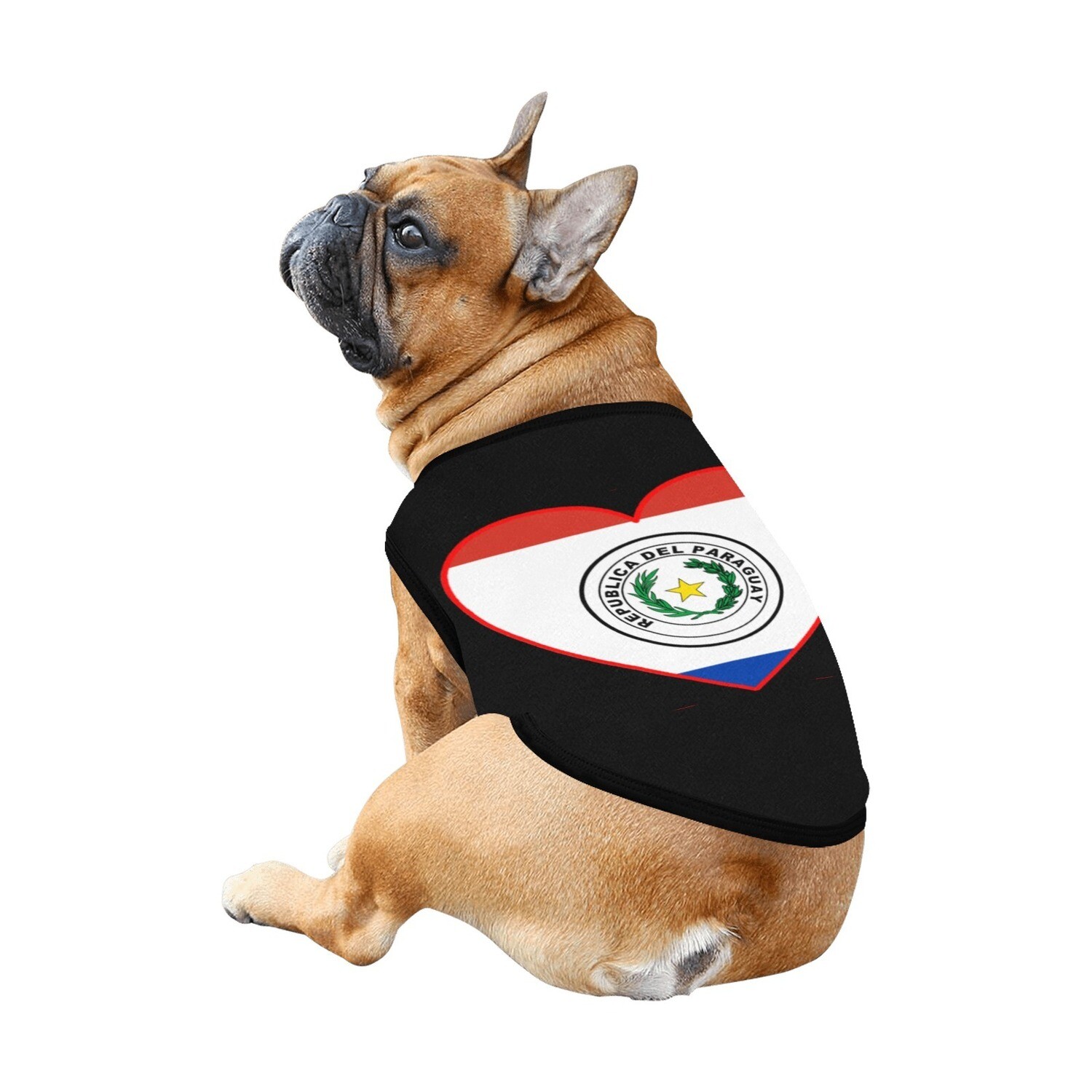 🐕 🇵🇾 I love Paraguay dog t-shirt, dog gift, dog tank top, dog shirt, dog clothes, gift, 7 sizes XS to 3XL, Paraguayan flag, heart shape, black