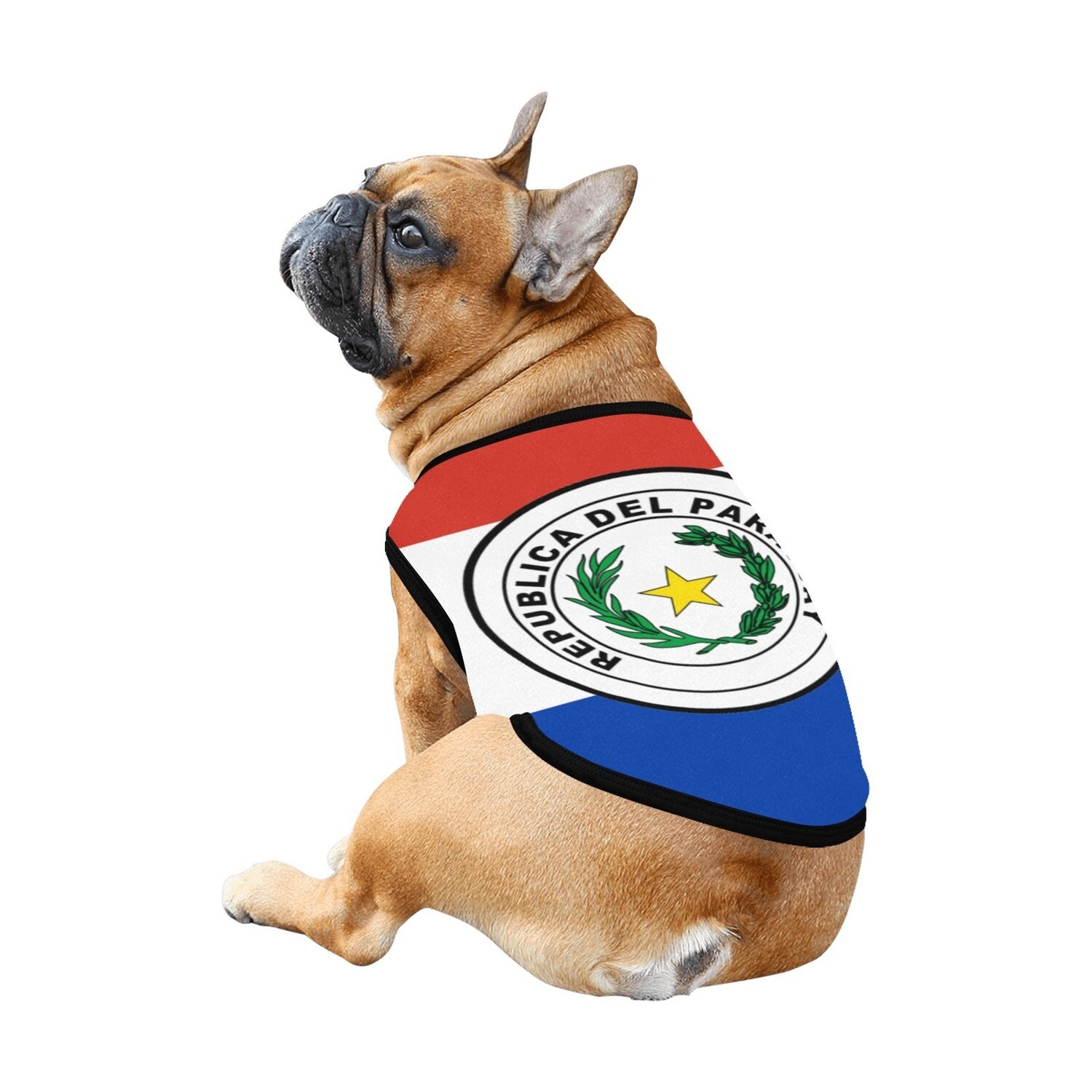 🐕 🇵🇾 I love Paraguay dog t-shirt, dog gift, dog tank top, dog shirt, dog clothes, gift, 7 sizes XS to 3XL, Big Paraguayan flag