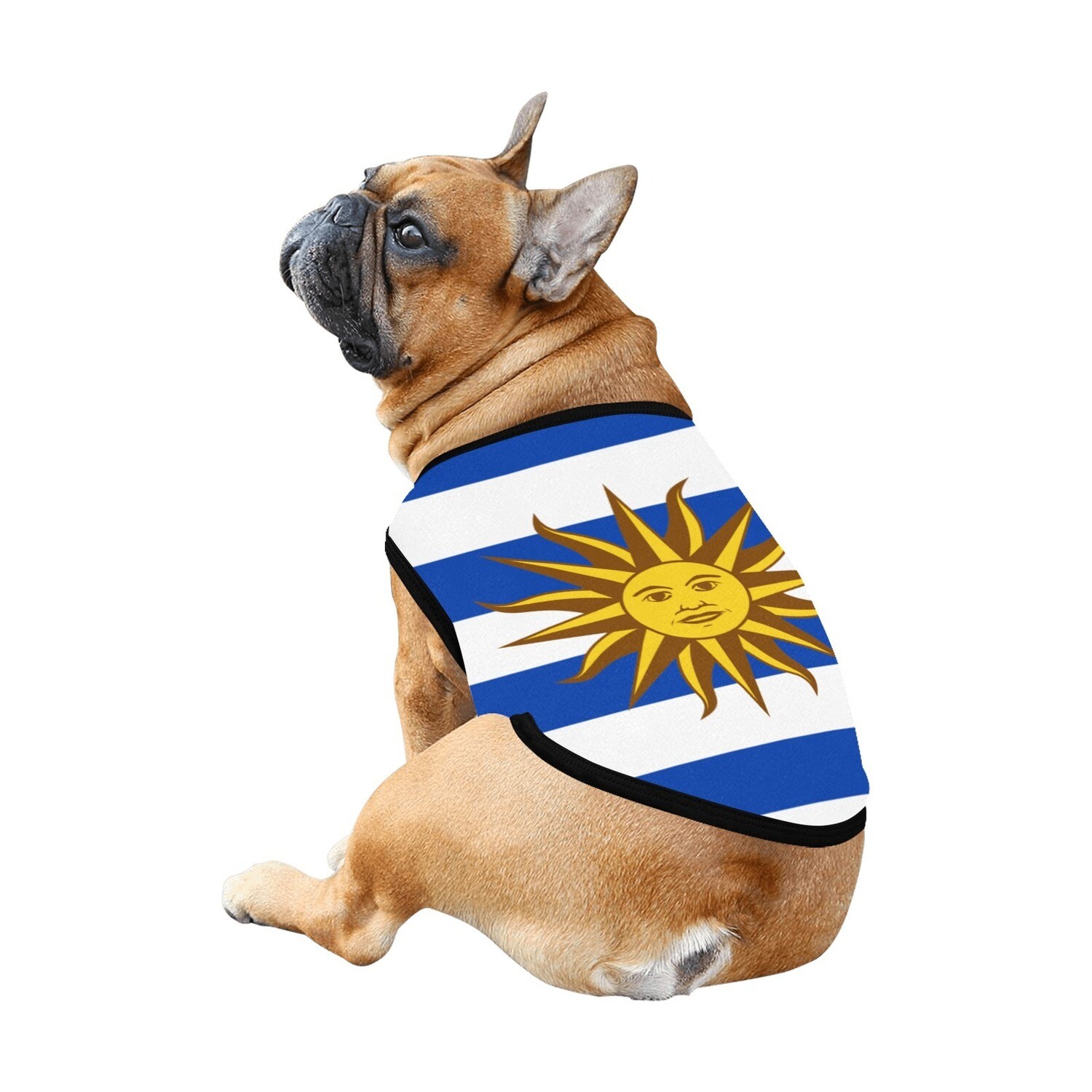 🐕🇺🇾I love Uruguay dog t-shirt, dog gift, dog tank top, dog shirt, dog clothes, gift, 7 sizes XS to 3XL, Big Uruguayan flag