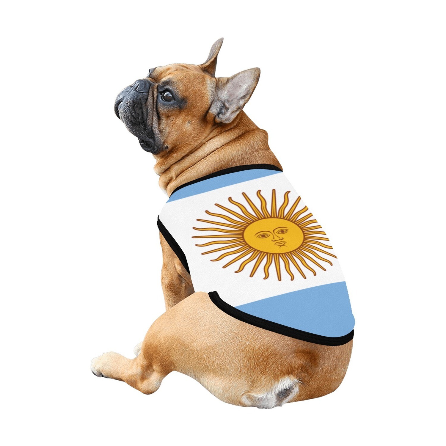 🐕🇦🇷 I love Argentina dog t-shirt, dog gift, dog tank top, dog shirt, dog clothes, gift, 7 sizes XS to 3XL, big Argentinian flag