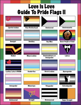 🤴🏽👸🏽🏳️‍🌈 Love is Love, Guide to Pride flags II, More LGBTQ flags, Rainbow flags, gift, Classroom, Home School, Children, School, Instant Download