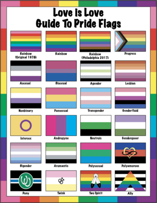 🤴🏽👸🏽🏳️‍🌈 Love is Love, Guide to Pride flags, LGBTQ flags, Rainbow flags, gift, Classroom, Home School, Children, School, Instant Download