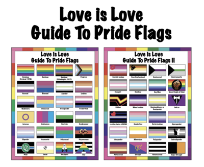 🤴🏽👸🏽🏳️‍🌈 Love is Love, Guide to Pride flags I & II, LGBTQ flags, Rainbow flags, gift, Classroom, Home School, Children, School, Instant Download