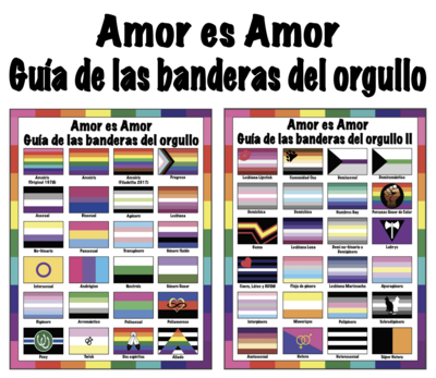 🤴🏽👸🏽🏳️‍🌈 Amor es Amor, Banderas del Orgullo I & II, Guide to Pride flags II, LGBTQ flags, Rainbow flags, gift, Classroom, Home School, Children, School, Instant Download