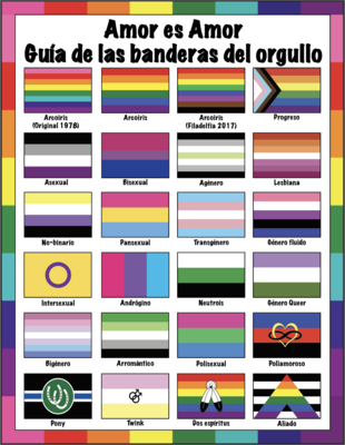 🤴🏽👸🏽🏳️‍🌈 Amor es Amor, Banderas del Orgullo, Guide to Pride flags, LGBTQ flags, Rainbow flags, gift, Classroom, Home School, Children, School, Instant Download