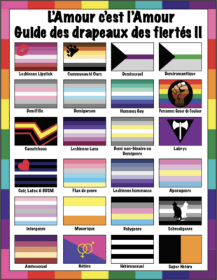 🤴🏽👸🏽🏳️‍🌈 L'Amour c'est l'Amour, Drapeaux des fiertés II, Guide to Pride flags, LGBTQ flags, Rainbow flags, gift, Classroom, Home School, Children, School, Instant Download