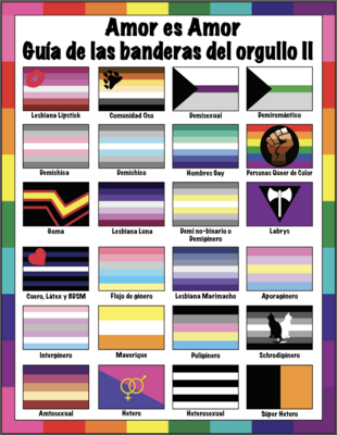 🤴🏽👸🏽🏳️‍🌈 Amor es Amor, Banderas del Orgullo II, Guide to Pride flags II, LGBTQ flags, Rainbow flags, gift, Classroom, Home School, Children, School, Instant Download