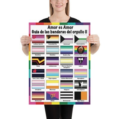 🤴🏽👸🏽🏳️‍🌈 Poster Print unframed Amor es Amor, banderas del Orgullo, Guide to Pride flags II, More LGBTQ flags, Rainbow flags, gift, Classroom, School, Children, Wall art, Home decor