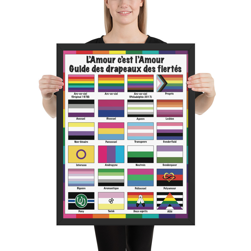 🤴🏽👸🏽🏳️‍🌈 Framed poster print L'Amour c'est l'Amour, Drapeaux des fiertés, Guide to Pride flags, LGBTQ flags Rainbow flags, gift, Classroom, School, Children, Wall art, Home decor