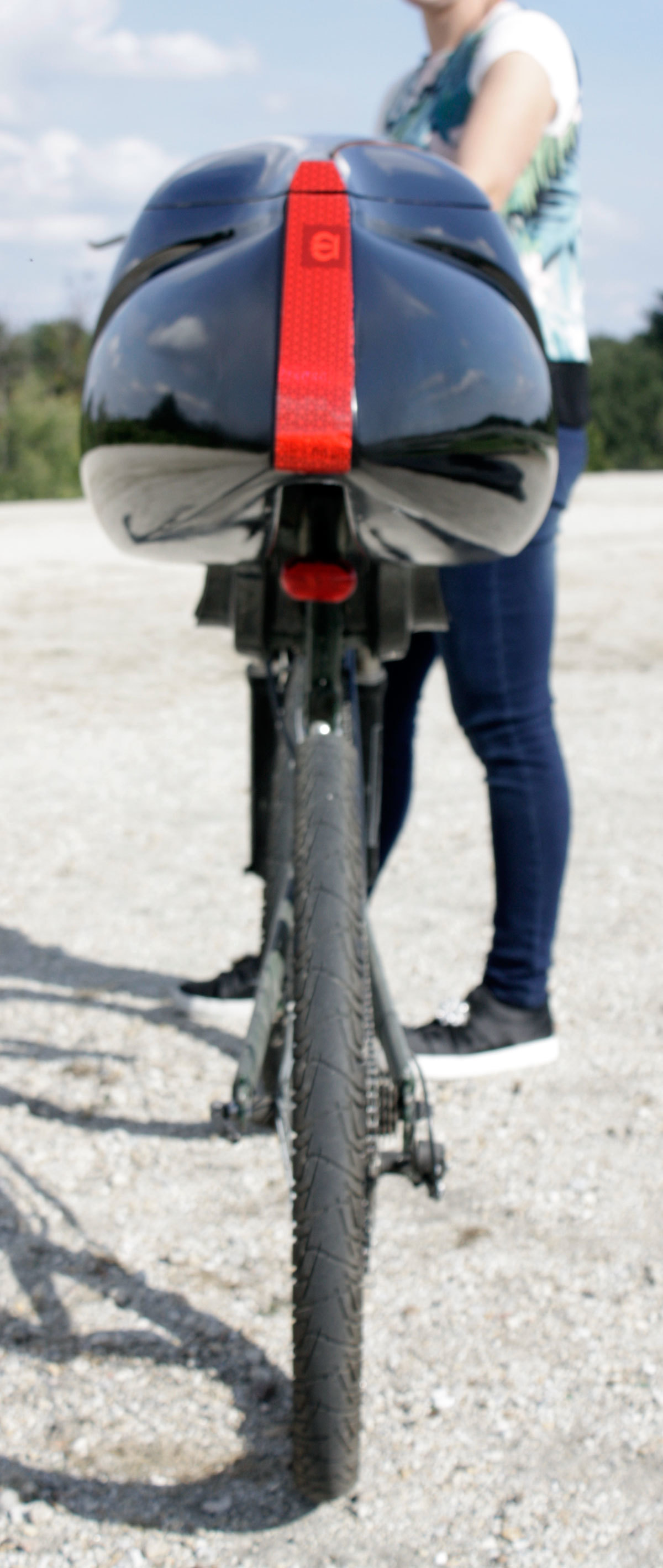 Tailbox Dolphin Fiberglass