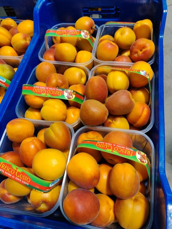 Albicocche biologiche (in cestino da Kg) 2,50€/kg