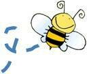 Honey (1lb & 1/2 lb jars) Honey (1lb & 1/2 lb jars)