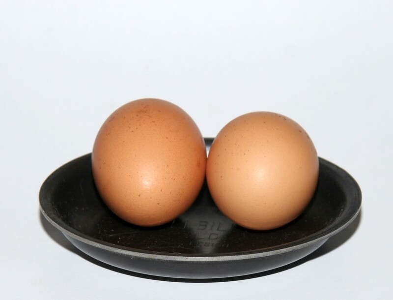 Egglets x2 - 120mm Diameter