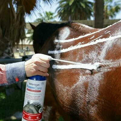 Op zoek naar een veilige shampoo die jeuk verzacht en de huid herstelt?