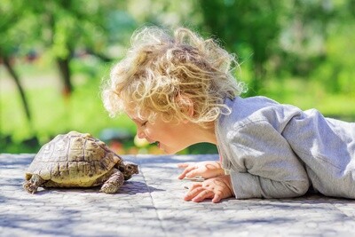 Ook voor reptielen houd je Vetericyn bij de hand...