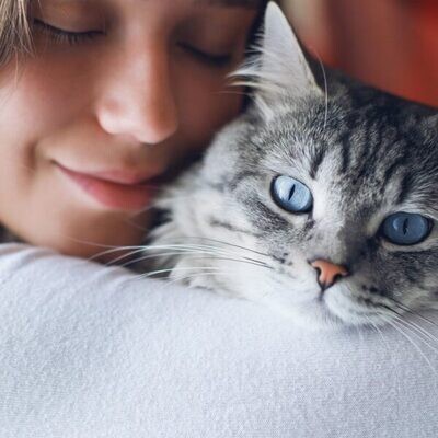 ​Word een betere verstaander: let op bij rode ogen bij je kat​