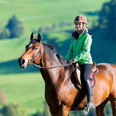 ​Can You Ride a Horse with Thrush?