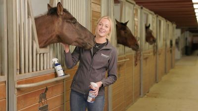 Understanding and Treating Common Skin Conditions in Horses