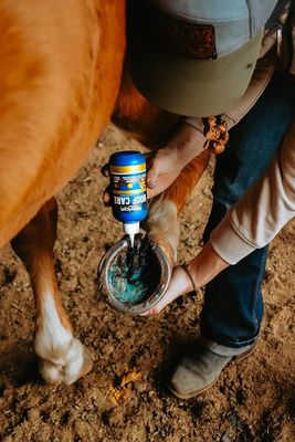 ​The Ultimate Guide to Hoof Cleaning: Keep Your Horse&#39;s Hooves Healthy and Strong