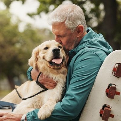 Canine Dementia: Supporting Dog Brain Health as They Mature
