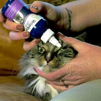 ​Eye &amp; Ear Care