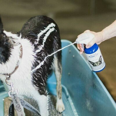 FoamCare® Shampoos