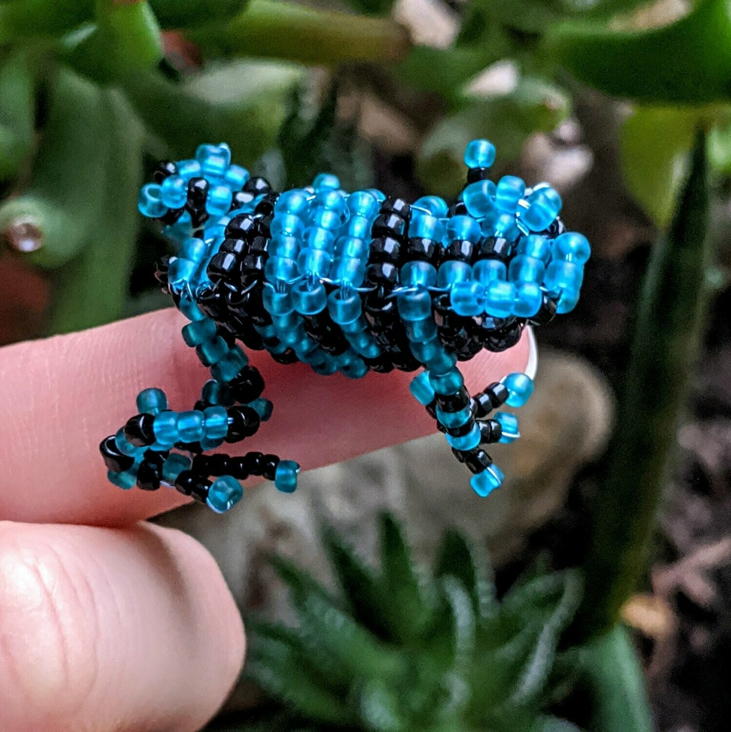 Dendrobates auratus (Green-and-Black Poison Dart Frog)