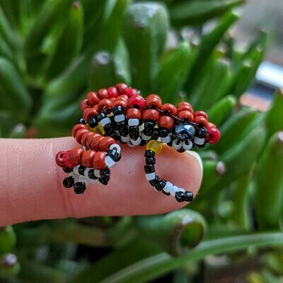 Epipedobates boulengeri (Marbled Poison Frog)
