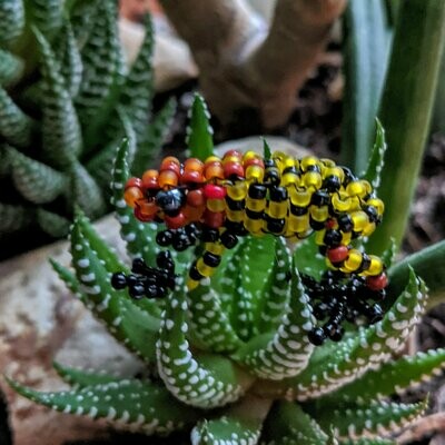 Oophaga histrionica (Harlequin Poison Frog)