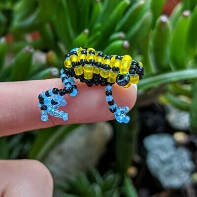 Ranitomeya sirensis (Sira Poison Frog)