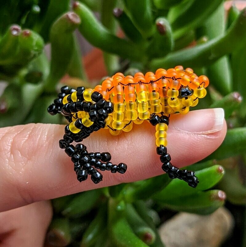 Phyllobates bicolor (Black-Legged Poison Frog)