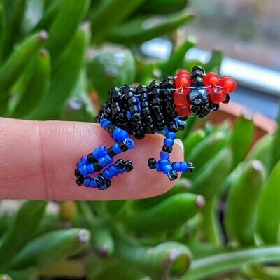 Ranitomeya benedicta (Blessed Poison Frog)