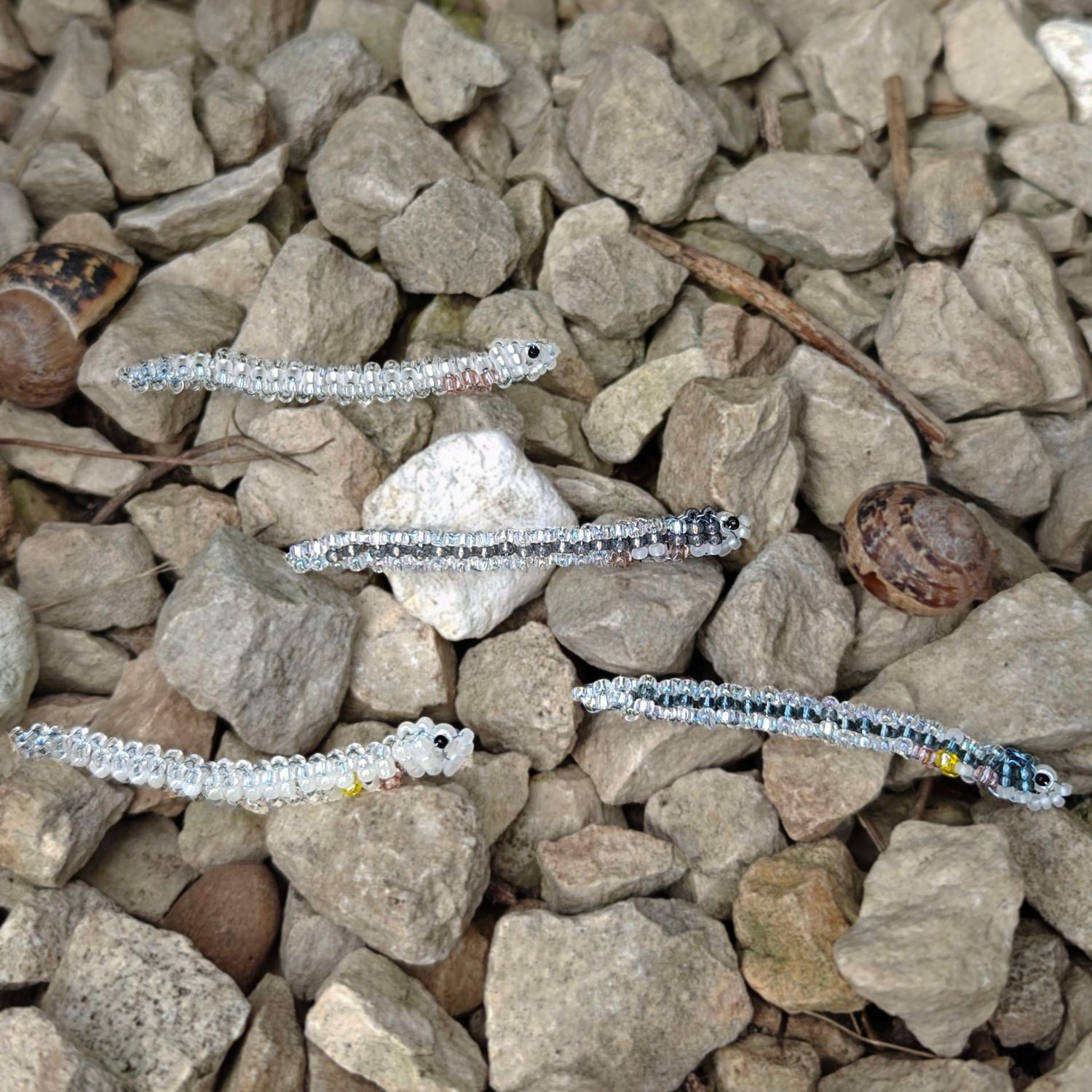 Glass Eel