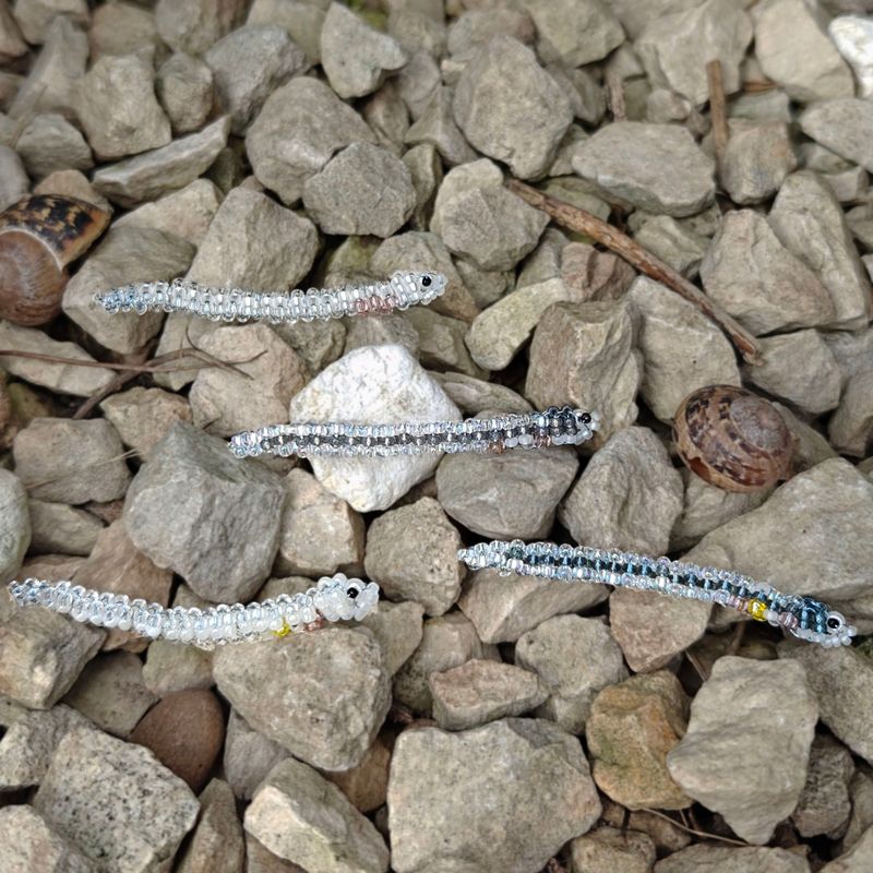 Glass Eel