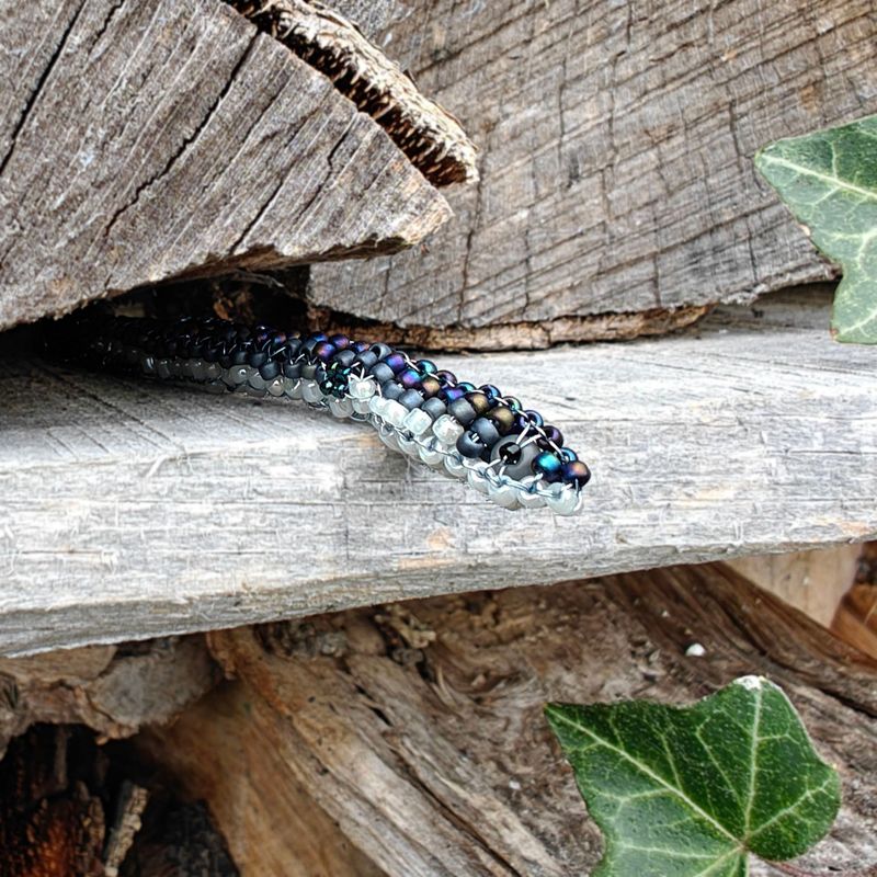 Silver Eel